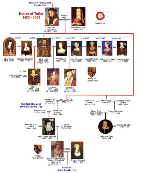 tudor and stuart family tree|are there any tudor descendants living today.